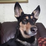 Stephen Sharp - @stephen.sharp.71 - Instagram