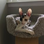 Stephen Sharp - @stephensharp4488 - Instagram