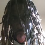 Stephen Sherron - @stephensherron - Instagram