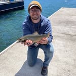 Stephen Shewan - @stephenshewan - Instagram