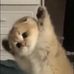 Stephen Shih - Facebook