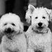 Stephen Shih - Facebook
