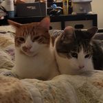 Stephen Shih - @steve__stove - Instagram