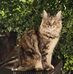 Steve Shimmin - Facebook