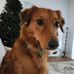 Stephen Siegert - Facebook