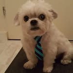 Stephen Silvester - @stephen.silvester.731 - Instagram