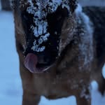 Steven Sipe - @steven_sipe - Instagram