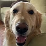 @stephenskiles - Instagram