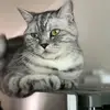 Stephen Slachter - @stephenslachter1971 - TikTok