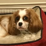 Stephen Sloane - @sloanestephen - Instagram