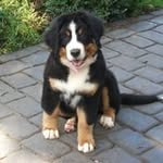 Stephen Small - @small_stephen - Instagram