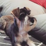 Stephen Soo - @mrstephensoo - Instagram
