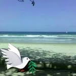 Stephen Sooklal - @stephensooklal - Instagram