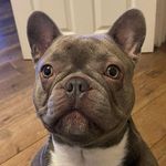 Stephen Southwick - @southwick_stephen - Instagram