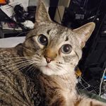 Stephen Sowell - @stephen.sowell - Instagram