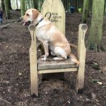 Stephen Spanner - @stephenspanner - Instagram