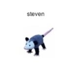 Steven Young - @stephenbutspelledwrong - Instagram