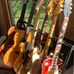 Stephen Spelman - Facebook