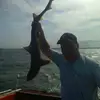 stephenjspielman - @stephenjspielman - TikTok