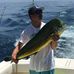 Stephen Spindler - Facebook