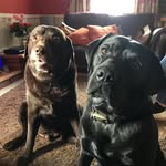 Stephen Spinks - @20021955ss - Instagram