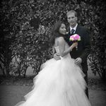 Stephen Spinks - @ssrs217 - Instagram