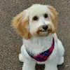 Stephen Spofford808 - @stephenspofford80 - TikTok
