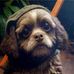 Stephen Spradley - Facebook