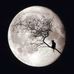 Stephen Spradlin - Facebook