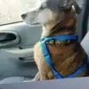 Steve Spradling - @steve.spradling - TikTok