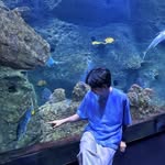 Stephen - @stephenspring13 - Instagram