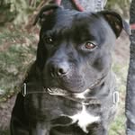 Stephen Staffy - @staffy_stephen - Instagram