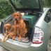 Stephen Staples - Facebook
