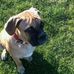 Stephen Staples - Facebook