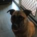 Stephen Starkey - Facebook