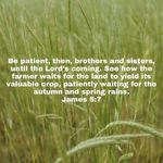 Steven Starkey - @starkeyfarmstead - Instagram