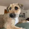Stephen Stead - @stephen.stead8 - TikTok