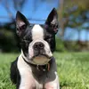 user8377407528925 - @stephsteelman - TikTok