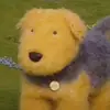 sj - @stephennotstefan - TikTok