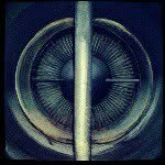Stephen Still - @bacon_n_beer15 - Instagram