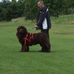 Stephen Stimson - Facebook