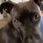 Stephen R Stockton - @srstockton26 - Instagram