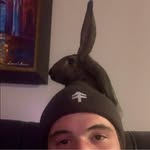 Stephen Storey - @sstoreytime - Instagram