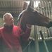 Steve Storey - Facebook