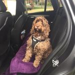 Stephen Stout - @stephen.stout1 - Instagram