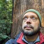 Stephen Stout - @nmstephen - Instagram