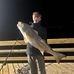 Stephen Strader - Facebook