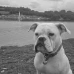 stephen stripling - @little.boy.lost.since74 - Instagram