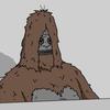 Stephen Strom - @stephen.strom - TikTok
