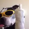 steph - @stephsturtz - TikTok